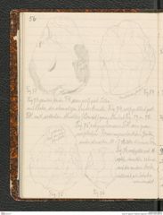 Seite 60, Tagebuch "Palästina (Tagebuch)" (NHMW-PRAE-BBB-80)